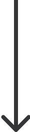 Prev
